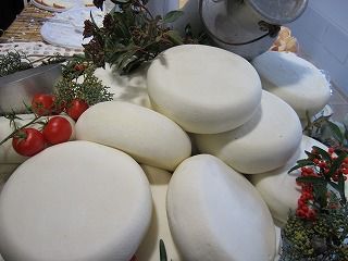 IMG_1793