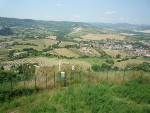 P1010354