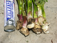 PICT0058