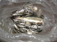 PICT0001