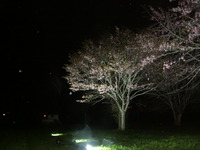 PICT0056
