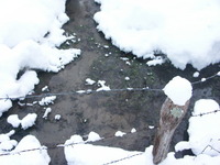 PICT0007