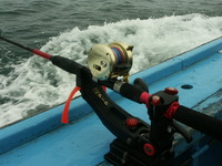 PICT0130