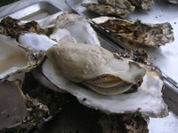 PICT0007