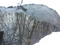 PICT0016