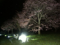 PICT0054