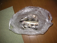 PICT0002