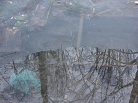 PICT0011