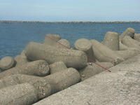 PICT0004