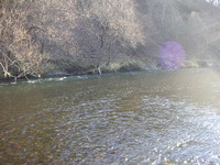 PICT0036