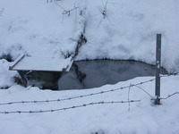 PICT0006