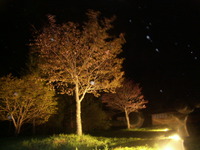 PICT0055