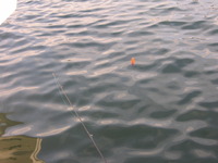 PICT0009