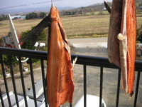 PICT0025