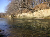 PICT0029