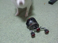 PICT0029