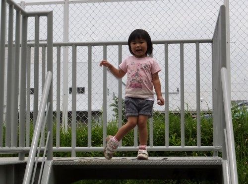 DSCF2585 (500x370)