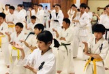 c9863386.jpg
