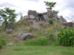 DSCN0575_M
