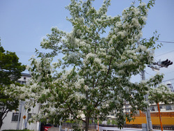 P1000563