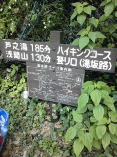 21b6f78e.jpg