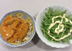 写真1