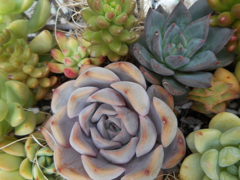 DSCN8207