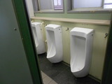 DSCN4234