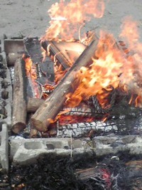 8f209831.jpg