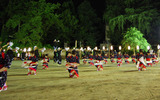 DSC_0274(1)