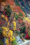 長野県大町 高瀬渓谷