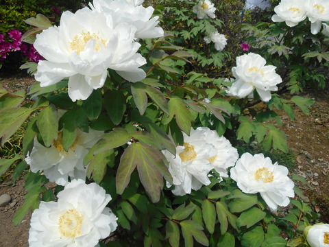 DSCN0820