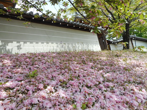 DSCN0788