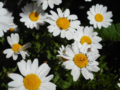 DSCN0758