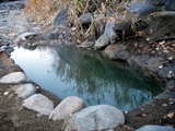 osaruyu051105