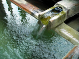 nonaka050806
