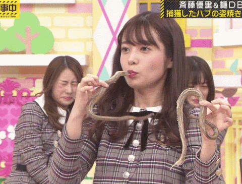 ezgif-5-a22f1e20a788