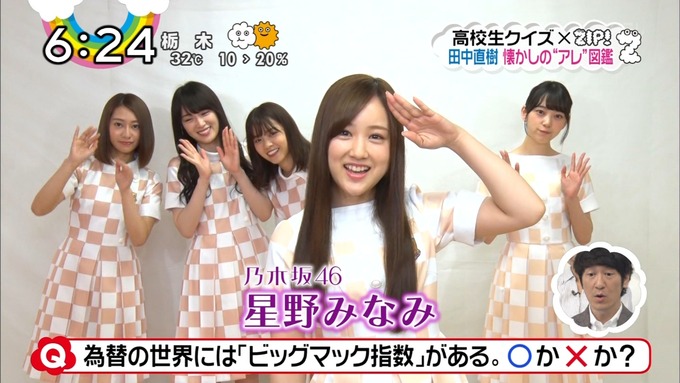 ZIP 懐かしのアレ図鑑 星野みなみ (7)