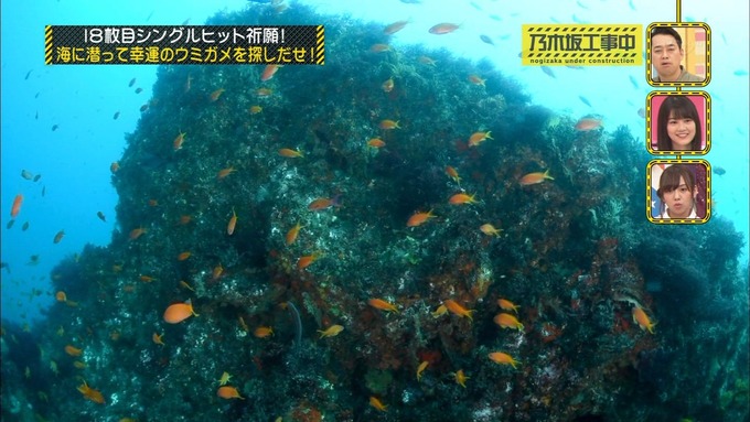 乃木坂工事中 18thヒット祈願⑤ (36)