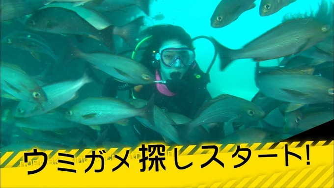乃木坂工事中 18thヒット祈願⑤ (1)