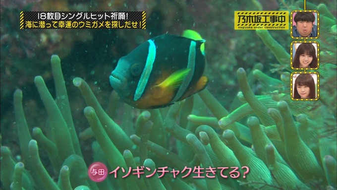 乃木坂工事中 18thヒット祈願⑤ (42)