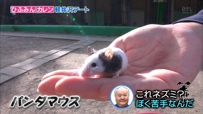 25 笑神様は突然に 伊藤かりん (56)