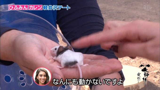 25 笑神様は突然に 伊藤かりん (60)