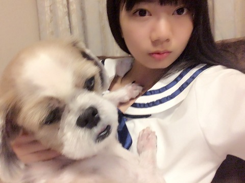高本