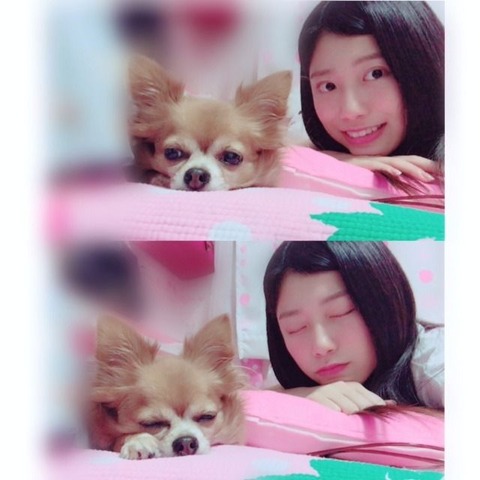ティアラ