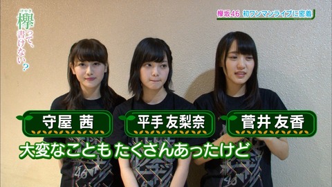 けやかけ1