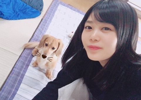 メロン