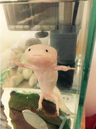 長濱