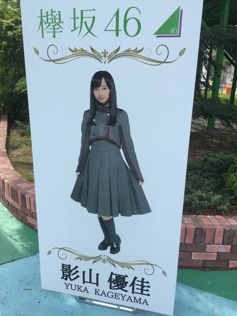 パネル12
