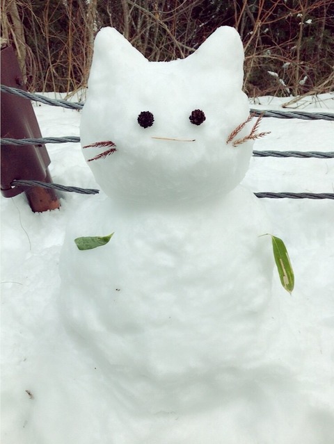 渡辺梨加 ブログ4